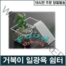 리즈 거북이 쉼터/어항장식