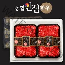 [농협안심]한우 1등급 냉동 불고기세트 1kg[500g*2팩]