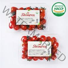 [장보남] 스테비아 방울토마토 [샤인마토 500gx2팩] 우체국택배, 1박스, 샤인마토 1kg(500gx2팩)