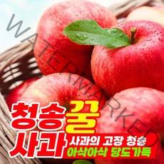 산지직송 청송 꿀사과 못난이 사과 부사 흠과 햇사과 중과 대과 특대과 선물용 가정용 명절 설 선물세트 5kg, 1. 청송 못난이 사과 크기혼합 5kg