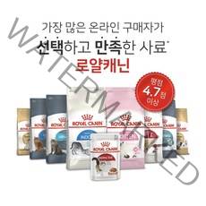 로얄캐닌 캣 사료 마더앤베이비캣 키튼 인도어 에이징12+ 피트 센서블 스테럴라이즈드 헤어앤스킨 헤어볼 오랄 라이트웨이트 유리너리 페르시안 샴, 헤어볼 케어 2kg