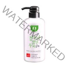 솔다인 청소년 비듬전용 맑은 두피 샴푸, 500g, 1개