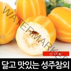 진짜 성주 꿀 참외 못난이 3kg 5kg 11kg 포장재무게포함, 진짜성주꿀참외못난이 포장제무게포함, 3kg소과