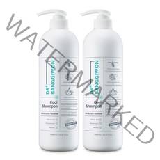 닥터방기원 쿨 탈모 샴푸, 1000ml, 2개