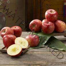 아침햇살 청송사과 정품 5kg, 8kg, 08정품-8kg(최상품)[22~24과]-중대과-