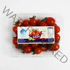 [토망고] 스테비아 방울토마토, 1개, 1kg(500g*2팩)