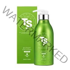 TS 올뉴 TS 샴푸, 500g, 1개