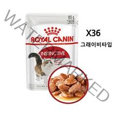 로얄캐닌 인스팅티브 그레이비 85g*36개, 단품