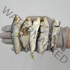 국내산(통영멸치)육수 다시용 디포리-중품1.5kg