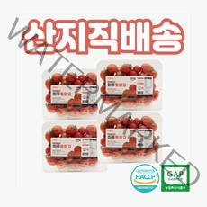 [하루토망고] 스테비아 방울토마토 500g, 500g X 4팩, 스테비아 하루토망고
