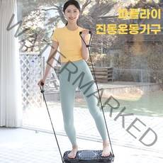 파플라이 힐링웨이브 진동 운동기구 덜덜이