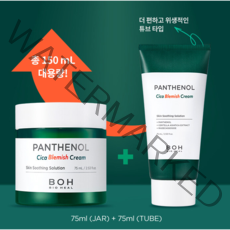 바이오힐보 판테놀시카 블레미쉬크림 더블기획 데이크림, 75ml, 2개