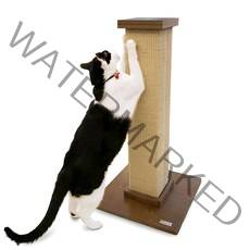 피카노리 고양이 스크래쳐 기둥형, 브라운, 1개