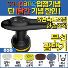 고성능 무선 자동차 광택기 폴리싱 광택 패드 폴리셔 차량 용 전동 왁싱 샌딩 기 미니, 프리미엄 무선 광택기