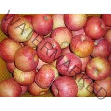 주왕산털보네 하늘사과, 9kg내외, 털보네사과 가정용 꿀사과 9kg 내외 (흠과)