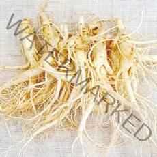 삼키우는마을 고려수삼 세척 무세척 수삼 가정용, 02.콩난파삼700g-무료세척