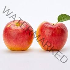 햇 사과 빨간 홍로 5KG (당일배송), 한입사과 5KG