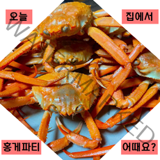 힐링수산 포항 구룡포 자숙 고급 홍게 소소 10마리 무료찜, 홍게 실속형 3kg 10마리