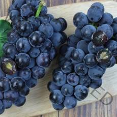 솜상탕처럼 달달 머루포도 캠벨포도 국내산 특 3kg 2kg 1kg, 상/캠벨포도2kg