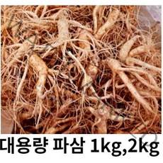 금산 인삼 파삼 5년근 세척 수삼 국내산 1kg 2kg 파삼 막삼 흠있는 못생긴 인삼 대용량, 2kg파삼