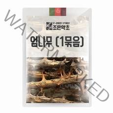 굿허브 엄나무 1묶음, 단품