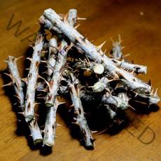 농선 야생 방임농사 엄나무 가지, 1개, 100g