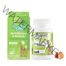 허벌랜드 키즈 멀티비타민 미네랄 구미, 60정, 1개