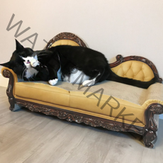 체리시 유럽풍 소파 스크래쳐, 아르노E, 1개