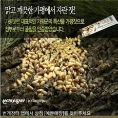 암에 좋은 인위적으로 만들지 않고 자연적으로 만든 가평 황 잣 고급 선물세트 설선물 명절선물, 가평잣선물세트12호