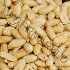 포항마트 비너스 누드 땅콩 500g / 깐땅콩 알땅콩 껍질 벗긴 땅콩, 1개, 비너스땅콩500g