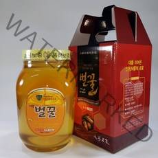 꿀뜨레 사양벌꿀 2.4kg* 2병 ( 3번 프라스틱 병 2병), 2.4kg, 2개
