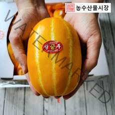성주참외 꿀 꼬마 고당도 특급 참외 10kg 5kg 3kg 2kg 산지직송, 소과 특급3kg(13과내외)무지박스