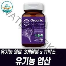 유기농 엽산 대용량 비건제품 비타민B9 임신전 임산부 수유부 신혼부부 출산후 건강기능식품 아내출산선물 어린이 청소년 건기식 맞춤영양제 업산, 3개월분 11박스