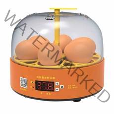 6구 자동회전 병아리 부화기, 오렌지, 1개