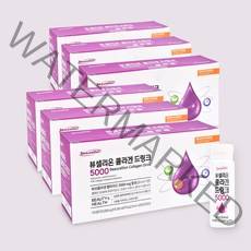 뷰셀리온 마시는 액상 콜라겐5000 먹는 엘라스틴 어린 피시 고함량 콜라겐 부스터 관절 영양제12주 3개월, 20ml X 6박스(12주분)