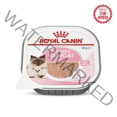 로얄캐닌 고양이 마더앤 베이비캣 울트라 소프트무스 트레이(100g x6개)/베이비캔 수유기캔, 100g x6개