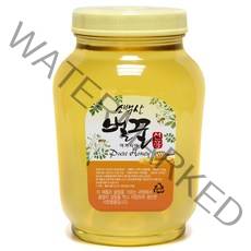 소백산벌꿀 선흥 사양 아카시아꿀, 2.4kg, 1개