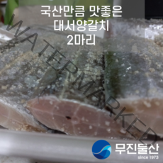 [무진물산] 갈치구이 갈치조림 국산만큼 맛있는 대서양갈치 2마리 / 세네갈갈치