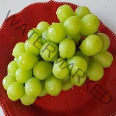 고당도 가정용 샤인머스켓 김천 샤인머스캣 망고포도 못난이 랜덤과, 선물용 최상품 샤인머스켓 2kg(4~5수)