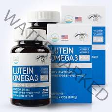 상상바이오 루테인 오메가3 플러스 1230mg, 216g, 2병