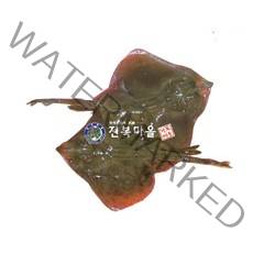 간재미(간자미) 1kg 간제미 간재미회 간자미국수 간자미찜, 자연산간재미1kg