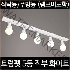 [소노조명]트럼펫 5등 직부 주방등 화이트, 화이트_(램프별도)
