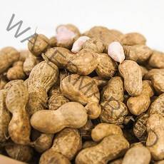 22년산 햇 생땅콩 1kg 2kg 3kg 국산 삶아먹는 햇땅콩 껍질 피땅콩, 국내산 생땅콩 2kg