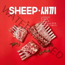(당일배송) 양고기 양갈비 통원육 (3개월 6개월 숄더랙 프렌치랙) -SHEEP새끼 양갈비프렌치랙 숄더렉 양고기원육 캠핑양갈비 토마호크 (소스4종무료), 프렌치랙, 1팩