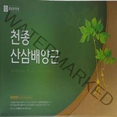 종근당건강 천종산삼배양근, 20ml, 30개