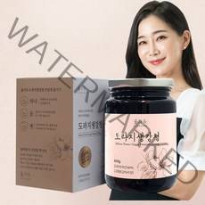 올가득 도라지생강청650g 도라지와 생강의 환상조합, 650ml, 1개