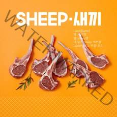 (당일발송) 6개월미만 프렌치랙 -어린양 양갈비 SHEEP새끼 (소스4종무료)양고기스테이크 쉽새끼 양갈비 2인기준 숄더랙 캠핑양갈비 2인기준
