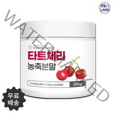 타트체리분말 가루 주스 터키 타르트체리 농축분말 250g, 1통