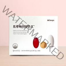 덴프스 트루바이타민X 엑스 업그레이드 멀티비타민 1 540mgx30포 한팩 종합비티민, 1개