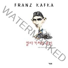 칼다 기차의 추억:프란츠 카프카 소설, 하늘연못